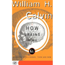How Brains Think: Evolving Intelligence, Then and Now