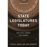 State Legislatures Today: Politics Under the Domes