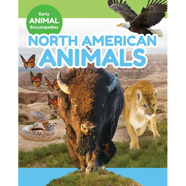 North American Animals