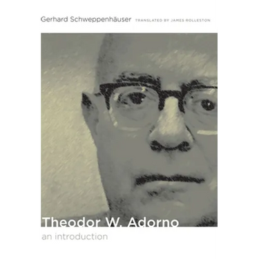 Theodor W. Adorno: An Introduction