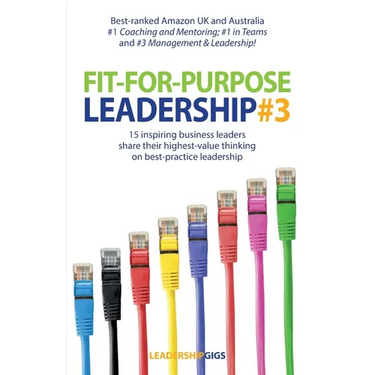 Fit For Purpose Leadership 3
