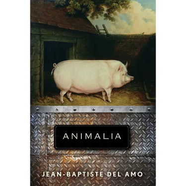 Animalia
