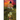 Something Fatal