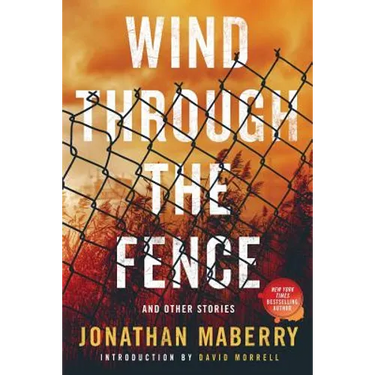 Wind Through the Fence: And Other Stories