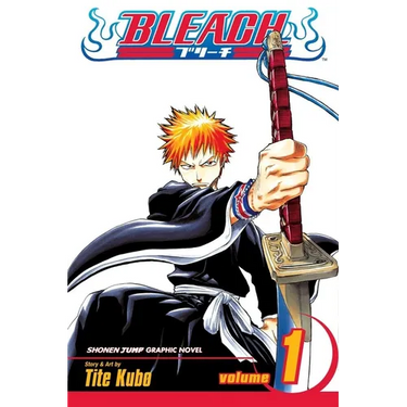 Bleach, Vol. 1