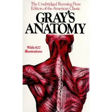 Gray's Anatomy
