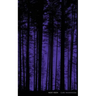 Night Vision