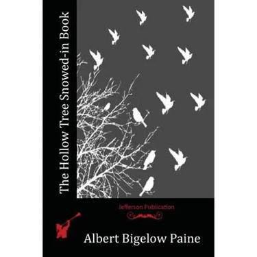 The Hollow Tree Snowed-in Book