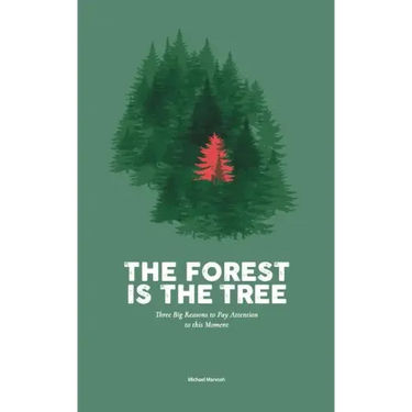 The Forest is the Tree: Three Big Reasons to Pay Attention to this Moment