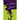 The Witch Hitch