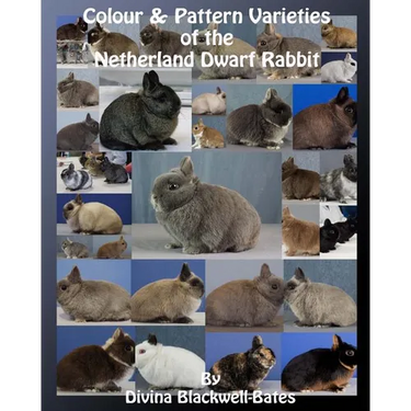 Colour & Pattern Varieties of the Netherland Dwarf Rabbit