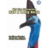 Why the Cassowary Has a Long Neck