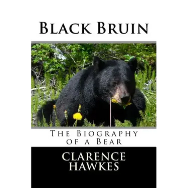 Black Bruin
