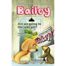 A Tale From A Fox Hound Beagle Named Bailey: Are we going to the lake yet?