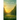 On Earth As It Is In Heaven