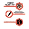 Shoebox Holography