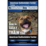 American Staffordshire Terrier Training, Dog Training with the No BRAINER Dog TRAINER We Make it THAT Easy!: How to EASILY TRAIN Your American Staffor