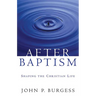 After Baptism: Shaping the Christian Life