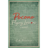 Pocono Flying Lessons