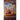 The Tree That Stood Still