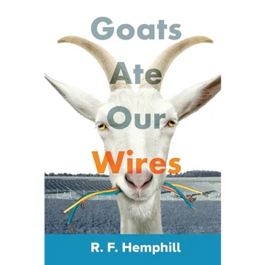 Goats Ate Our Wires: Stories of Travel for Business and Pleasure