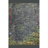 The Wall
