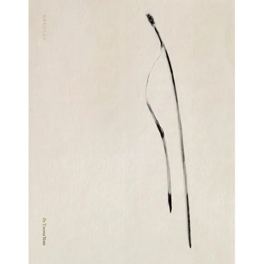 Txema Yeste: Needles