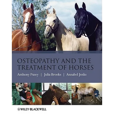 Osteopathy Treatment Horses