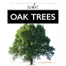 Oak Trees