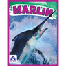 Marlin