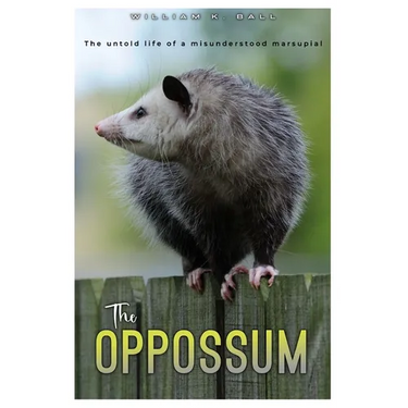 The Oppossum: The Untold Life of a Misunderstood Marsupial