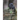 Toutouwai New Zealand Robin: Fact and Activity Book