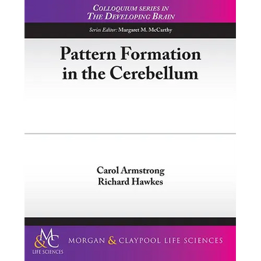 Pattern Formation in the Cerebellum