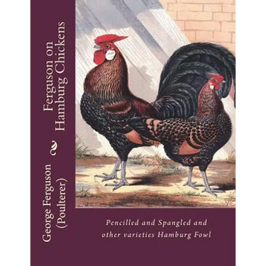 Ferguson on Hamburg Chickens: Pencilled and Spangled and other varieties Hamburg Fowl
