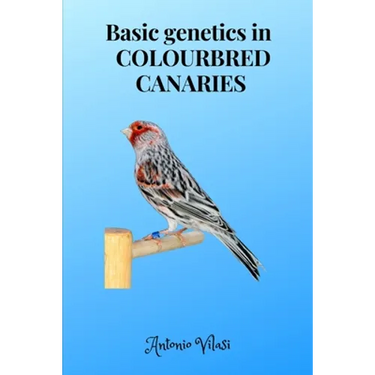 Basic genetics in COLOURBRED CANARIES