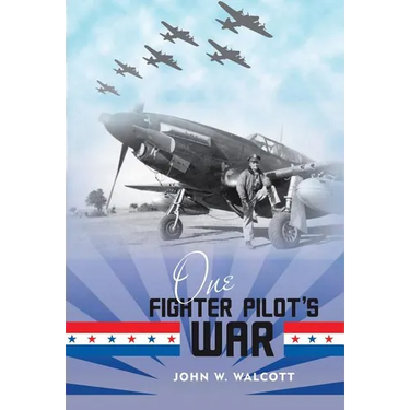 One Fighter Pilot's War