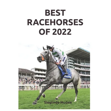 Best Racehorses of 2022