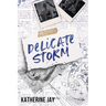 Delicate Storm: Special Edition