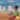 Let's Play Football: With African Animals in Afaan Oromo and English