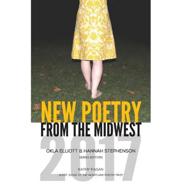 New Poetry from the Midwest 2017