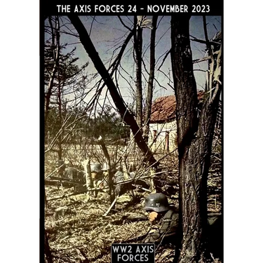 The Axis Forces 24
