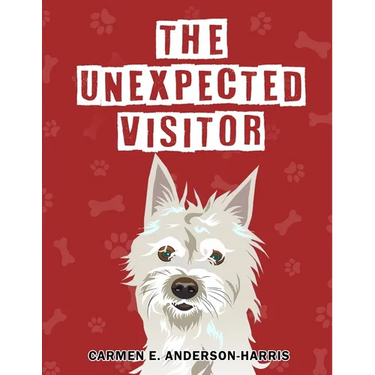 The Unexpected Visitor