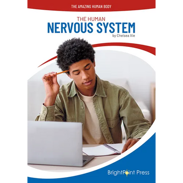 The Human Nervous System