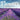 Flowers, A No Text Picture Book: A Calming Gift for Alzheimer Patients and Senior Citizens Living With Dementia