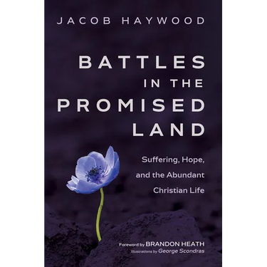Battles in the Promised Land: Suffering, Hope, and the Abundant Christian Life