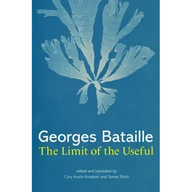 The Limit of the Useful