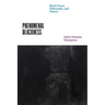 Phenomenal Blackness: Black Power, Philosophy, and Theory