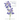 A Guide to Species Irises: Their Identification and Cultivation