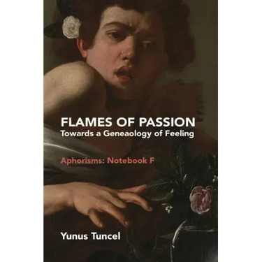 Flames of Passion: Towards of a Genealogy of Feeling Aphorisms: Notebook F