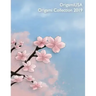 Origami Collection 2019